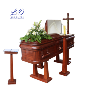 SERVICIO LINCOLN PINO